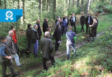 Gruppe von Personen befindet sich auf Exkursion im Wald auf einem Wirtschaftsweg an einer Böschung. Die Sonne scheint durch die jungen, schlanken hohen Bäume