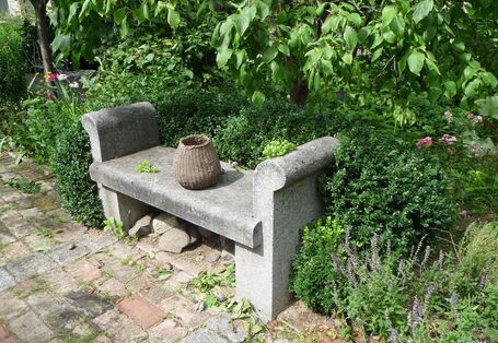 Von Pflanzen umringte Steinbank