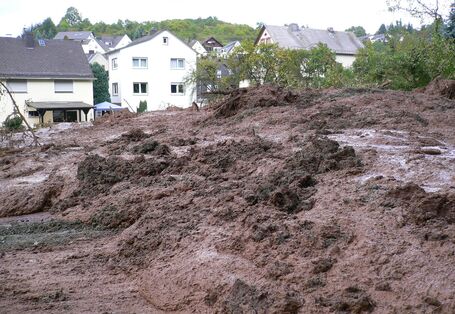 Vor Wohnhäusern sind Schlammmassen zu sehen, die junge Bäume mitgerissen haben.