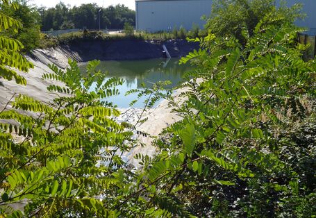 Der Blick geht auf einen Feuerlöschteich mitten im Grünen. Im Hintergrund steht ein weißes langgezogenes und flaches Gebäude.