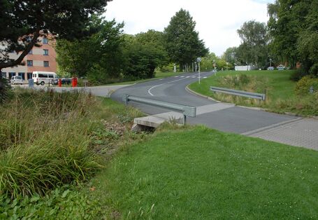 Unter einer Straßenkurve tritt eine Öffnung hervor, die ins Grüne führt als Durchtritt für Wasser. Im Hintergrund stehen Bäume und ein paar Häuser.