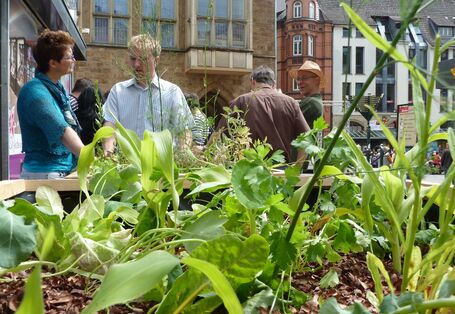Der Blick geht durch die Bepflanzung eines Hochbeetes durch auf sich miteinander unterhaltende Personen. Im Hintergrund stehen historische und moderne Gebäude.