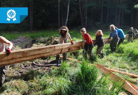 Mehrere Menschen tragen einen Holzbalken ins Moor.