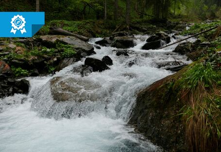 Titelbild mit Nominiertenfahne, rauschender Bach im Wald.