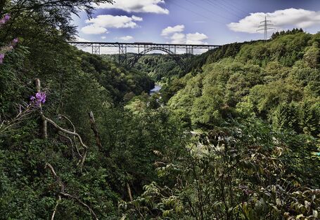 Remscheid Müngstener Brücke. Grün belaubte Bäume stehen im Vordergrund.