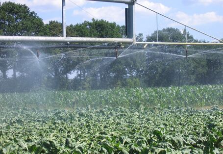 Fotografie einer Konstruktion zur Feldberegnung, die Wasser über Pflanzen versprüht.