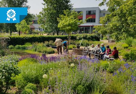 Anwohnerinnen und Anwohner des Wohnstifts sitzen im grünen GLEKS-Park.