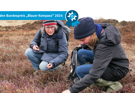 Das Bild zeigt Mitarbeiterinnen beim Cranberry sammeln.