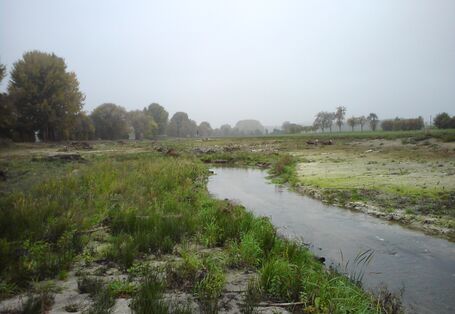Entwicklungsplanung Werse - Nach Ausbau, Herstellung Sekundäraue (25-10-2012)