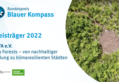 Das Bild zeigt eine Tiny-Forest-Fläche von oben. 