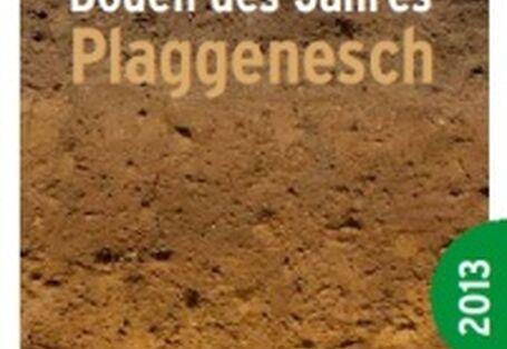 Publikation:Boden des Jahres 2013 - PlaggeneschFlyer