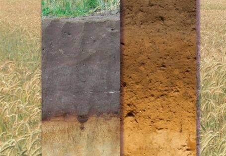 Publikation:Boden des Jahres 2013 - PlaggeneschPoster