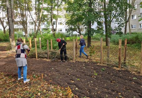 Zu sehen sind drei Personen, die eine Benjeshecke und eine Wildblumenwiese anlegen.
