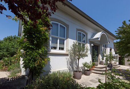 Außenansicht des eingeschossigen Hauses von der Ecke aus mit Kletterpflanze an der Ecke und weiteren Topfpflanzen davor