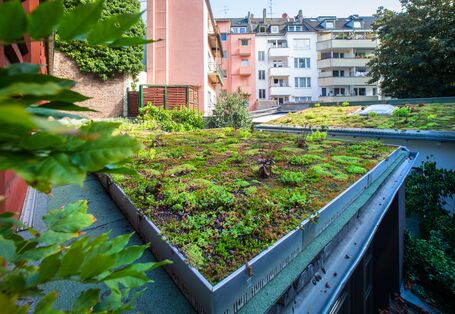 Blick direkt auf begrüntes Garagendach. Im Hintergrund sind Häuserensembles zu sehen.