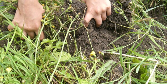 im Boden grabende Hände