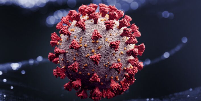 a virus in a close-up foto