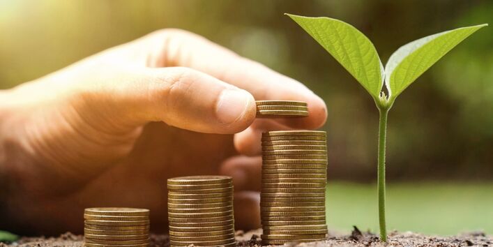 eine Hand stapelt Geldmünzen neben einem grünen Pflanzenkeimling