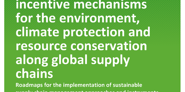 Cover of report "Cost allocation and incentive mechanisms for environmental, climate protection and resource conservation along global supply chains"