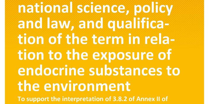 Cover des Berichts "Understanding of ‘negligible exposure’ in international science, policy and law, and qualification of the term in relation to the exposure of endocrine substances to the environment" 