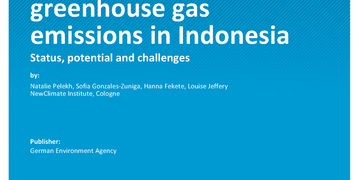 Cover of report "Mitigating agricultural greenhouse gas emissions in Indonesia"