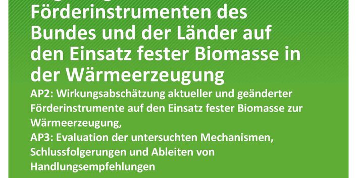 Cover des Berichts "Wirkmechanismen von Regelungen und Förderinstrumenten des Bundes und der Länder auf den Einsatz fester Biomasse in der Wärmeerzeugung"