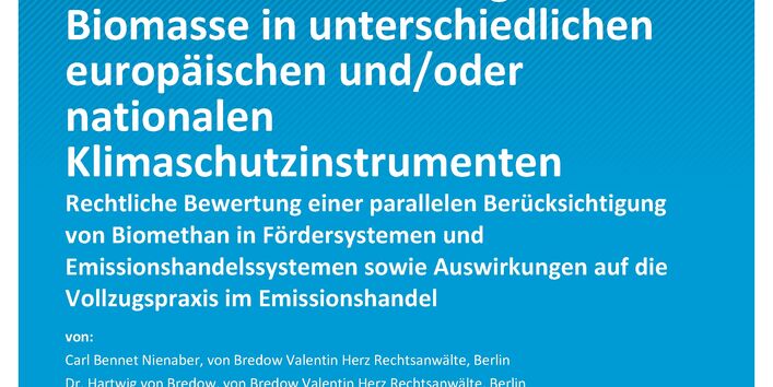 Cover des  Berichts "Wechselwirkungen der mehrfachen Förderung von Biomasse in unterschiedlichen europäischen und/oder nationalen Klimaschutzinstrumenten"