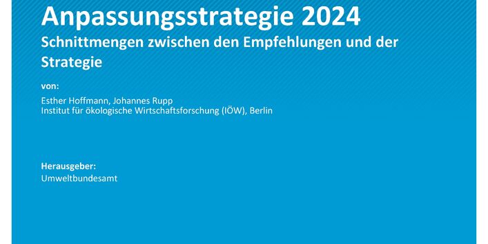 Cover des Berichts "Beteiligungsprozess zur Deutschen Anpassungsstrategie 2024"