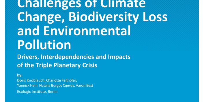 Cover of report "The Interconnected Challenges of Climate Change, Biodiversity Loss and Environmental Pollution" 