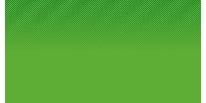 Cover des Berichts "Evaluierung der 1. BImSchV von 2010"