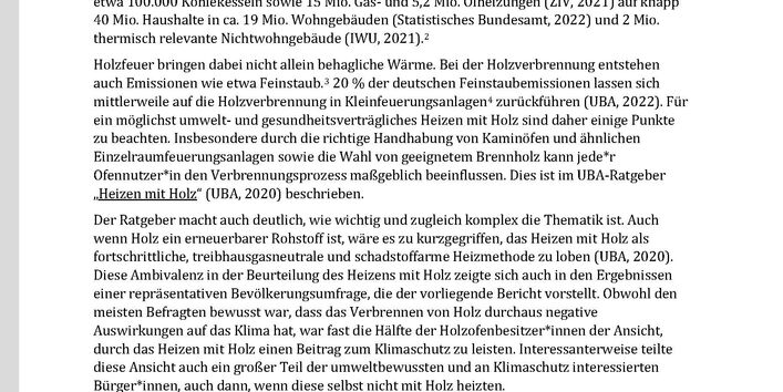 Cover des Factsheets "Umweltbewusstsein in Deutschland 2020: Ergebnisse einer Zusatzbefragung zum Thema „Heizen mit Holzöfen“