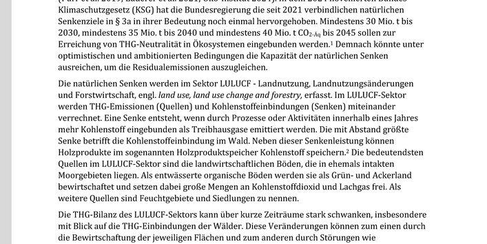 Cover des Factsheets "Netto-null in 2045: Ausbau der Senken durch klimaresiliente Wälder und langlebige Holzprodukte"
