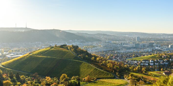 Weinberge bei Stuttgart.