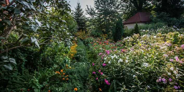 Naturbelassener Garten