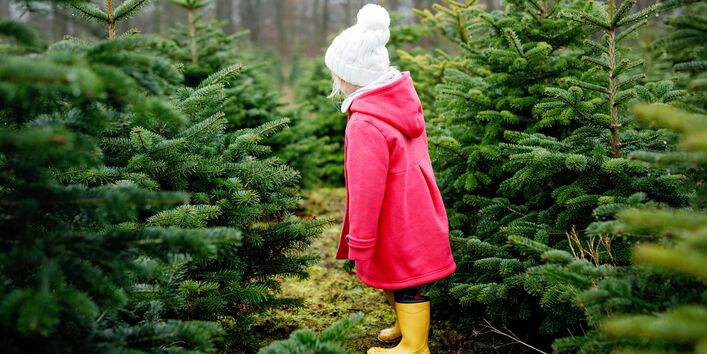  Ein junges Kind mit einer weißen Pudelmütze und einem rosa Mantel steht in einer Weihnachtsbaumplantage und blickt zur Seite. Es trägt gelbe Gummistiefel.