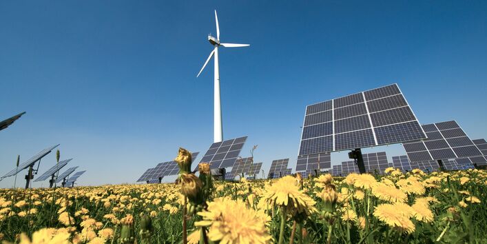  Ein Feld mit blühendem Löwenzahn, in dem sich Solarzellen und ein Windrad befinden.