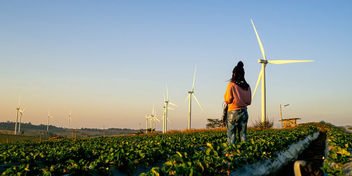 Eine Person steht rücklings in einem Feld mit grünen Pflanzenreihen und blickt auf eine weitläufige Hügellandschaft, in der zahlreiche weiße Windkraftanlagen unter einem klaren Abendhimmel stehen.