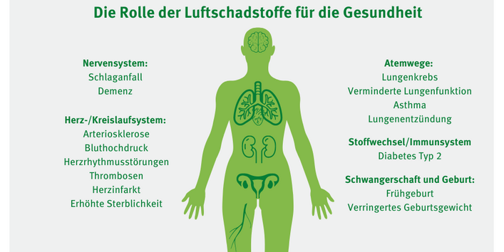 Die Rolle der Luftschadstoffe für die Gesundheit
