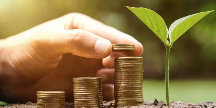 Geldmünzen und eine Pflanze symbolisieren den Zusammenhang zwischen Energierpreisen und Klimaschutz, den eine neue UBA-Studie untersucht.