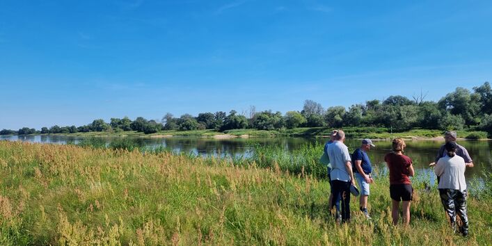 Teilnehmende der UBAwegs Tour im Juli auf einer Auenbegehung im Roßlauer Oberluch