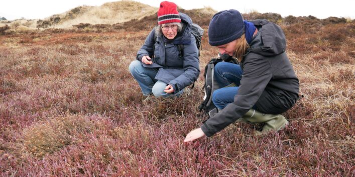 Das Bild zeigt die Nominierung des Verbundprojekts vom WWF Deutschland, CAU Kiel, DHSV Eiderstedt, Schutzstation Wattenmeer e. V., TU Braunschweig mit dem Projekt „Sandküste St. Peter-Ording“,