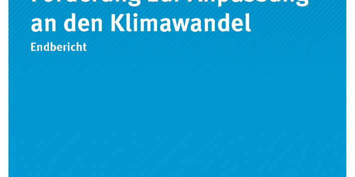 Cover der Publikation Climate Change 11/2017 Erfolgsfaktoren für die Förderung zur Anpassung an den Klimawandel 