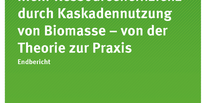 Cover der Publikation Texte 53/2017 BIOMASSEKASKADEN Mehr Ressourceneffizienz durch stoffliche Kaskadennutzung von Biomasse – von der Theorie zur Praxis