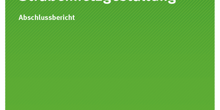 Cover der Publikation 74/2017 Flächensparende Straßennetzgestaltung: Potenziale zur effizienten Entwicklung des Straßennetzes vor dem Hintergrund der Umweltziele der Bundesregierung und des demografischen Wandels