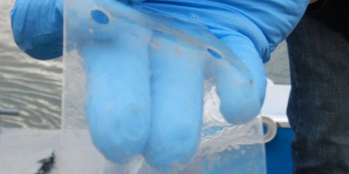 Auf dem Bild hält eine Person einen verschmutzten Silikonstreifen in der Hand.