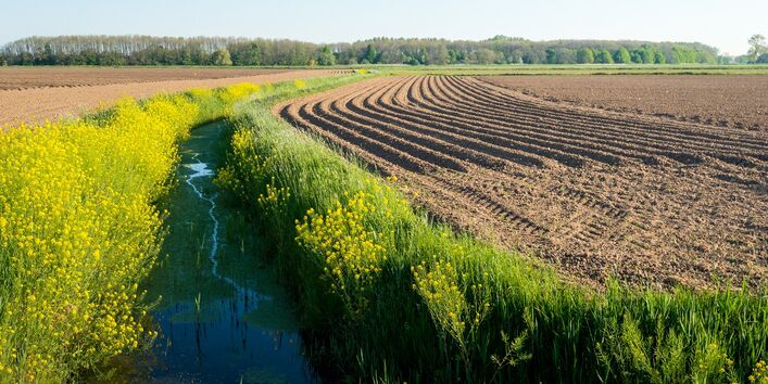 A stream between two fields