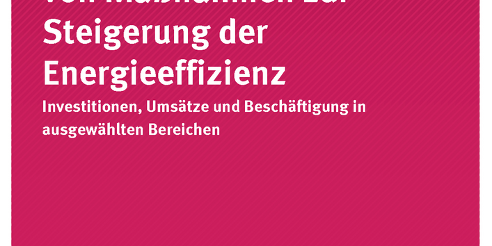 Cover der Publikation UIB 02/2019 Ökonomische Indikatoren von Maßnahmen zur Steigerung der Energieeffizienz