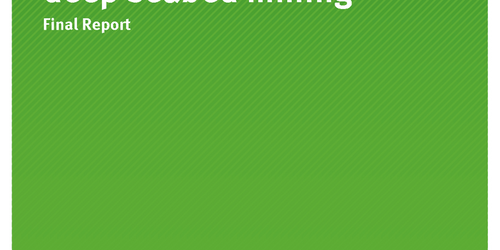 Cover der Publikation TEXTE 113/2019 Ecological safeguards for deep seabed mining