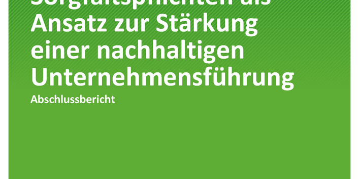 Cover der Publikation TEXTE 138/2020 Umweltbezogene und menschenrechtliche Sorgfaltspflichten als Ansatz zur Stärkung einer nachhaltigen Unternehmensführung