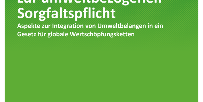 Cover der Publikation TEXTE 49/2020 Von der menschenrechtlichen zur umweltbezogenen Sorgfaltspflicht